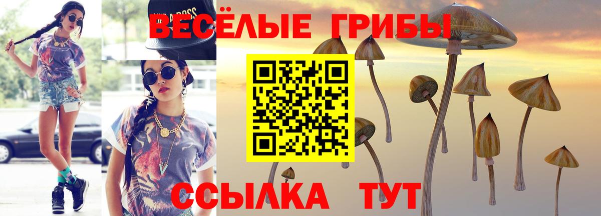 магазин продажи наркотиков  Галлюциногенные грибы Psilocybe  Вход с VPN  Великий Устюг 