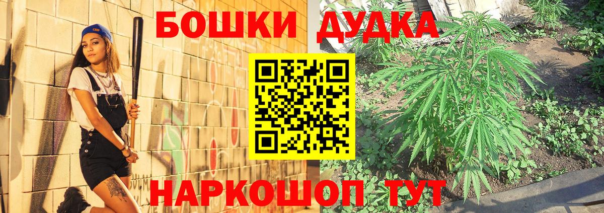 Шишки марихуана Amnesia Великий Устюг